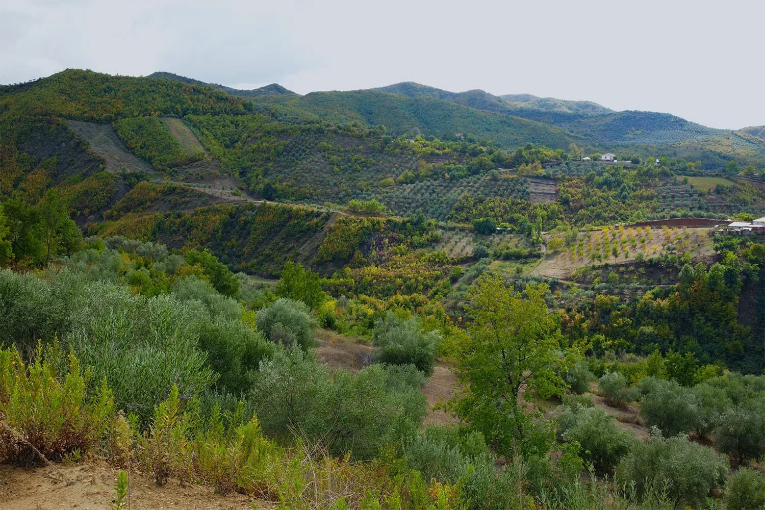 Tradition rooted in the landscape